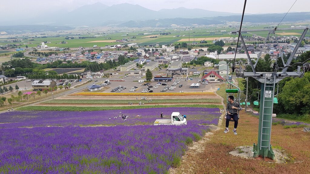 Campi di lavanda a Furano in Hokkaido