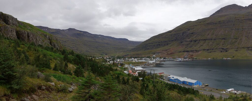 Panorama di Seyðisfjörður e del suo fiordo